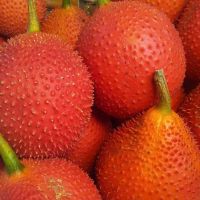 HOT DEAL FROZEN GAC FRUIT PREMIUM