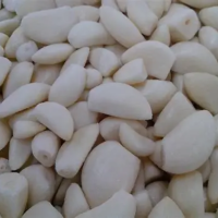 PREMIUM QUALITY FROZEN GARLIC 100% NATURAL MADE IN VIETNAM FOR EXPORT