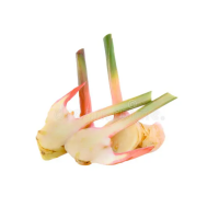 PREMIUM QUALITY FROZEN SLICED GALANGAL 100% NATURAL MADE IN VIETNAM