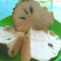 HIGH QUALITY VIETNAM FROZEN SOURSOP PURE PULP FOR BEVERAGES AND DESSERTS