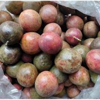 FROZEN PASSION FRUIT PULP PREMIUM QUALITY