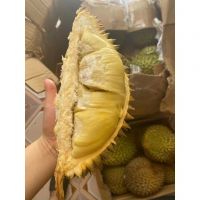 HOT DEAL FROZEN DURIAN WHOLESALE BULK