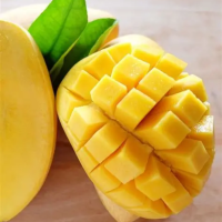 HOT DEAL VIETNAM FROZEN MANGO DICES READY TO USE From Vietnam