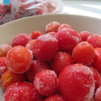 WHOLESALE FROZEN TOMATO | SUSTAINABLE SUPPLY | HIGH QUALITY