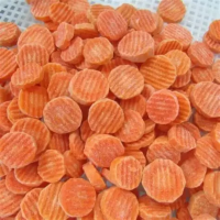 PREMIUM QUALITY FROZEN CARROT | SUSTAINABLE SUPPLY FROM VIETNAM