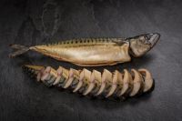 FROZEN WHOLE ROUND MACKEREL | PREMIUM SEAFOOD