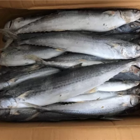 PREMIUM FROZEN MACKEREL | READY TO COOK