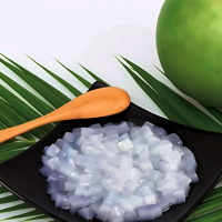 SWEET NATA DE COCO | 100% NATURAL | FOR DESSERTS & DRINKS