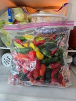 PREMIUM FROZEN BELL PEPPER | LONG SHELF LIFE | COLORFUL & NUTRITIOUS