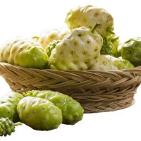 DRIED NONI SLICES | 100% NATURAL | BULK