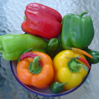 WHOLESALE FROZEN BELL PEPPER | BULK EXPORT | READY TO COOK