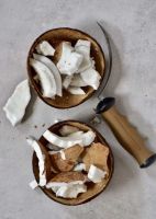 PREMIUM DRIED COCONUT MEAT 100% NATURAL