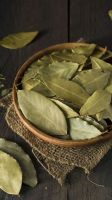 DRIED SOURSOP LEAVES 100 PERCENT NATURAL