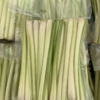 WHOLESALE FROZEN LEMONGRASS BULK EXPORT READY