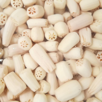 PURE FROZEN LOTUS ROOT NON GMO VEGETABLE PRODUCT