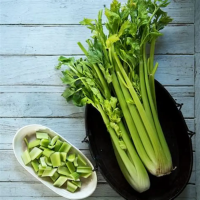 WHOLESALE FROZEN CELERY BULK EXPORT READY