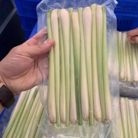 IQF FROZEN LEMONGRASS NON GMO LONG