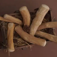 WHOLESALE DOG CHEW FROM COFFEE WOOD BULK EXPORT