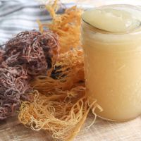 SEA MOSS FOR HEALTH BEAUTY AND