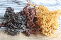 WHOLESALE SEA MOSS BULK EXPORT BEST