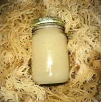 PREMIUM SEA MOSS ORGANIC CLEAN LABEL