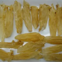 WHOLESALE DRIED FISH MAW PROTEIN RICH