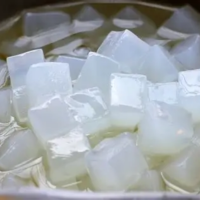 NATA DE COCO IN SYRUP PREMIUM QUALITY FROM VIETNAM