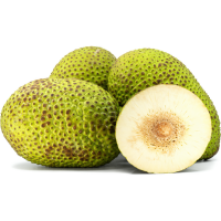 VIETNAM FROZEN BREADFRUIT SUPPLIER BEST PRICE