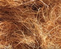 VIETNAM COCONUT FIBER SUPPLIER BEST PRICE