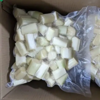 NATURAL FROZEN SUGARCANE STICKS CLEAN LABEL