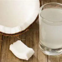 WHOLESALE COCONUT KEFIR VEGAN PROBIOTIC DRINK