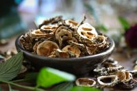 DRIED BITTER MELON NATURAL HEALTH SUPPORT PRODUCT