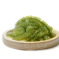 FRESH SEA GRAPES SALTY CRUNCHY SUPERFOOD