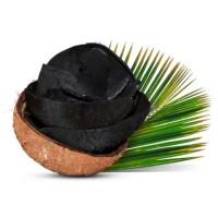 NATURAL COCONUT SHELL CHARCOAL FOR BBQ