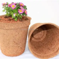 WHOLESALE NATURAL COCO FIBER POTS FOR
