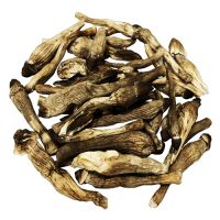 HIGH QUALITY DRIED TERMITE MUSHROOM FOR SOUP AND BROTH