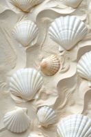 NATURAL SCALLOP SHELL FOR DECORATION AND