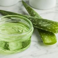 HIGH QUALITY ALOE VERA GEL BULK