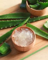 TOP SELLING ALOE VERA CUBES WHOLESALE