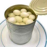 PREMIUM CANNED QUAIL EGGS FOR GLOBAL FOOD MANUFACTURING
