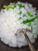 PREMIUM NATA DE COCO FOR BEVERAGE AND DESSERT USE