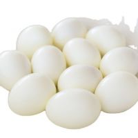 EXPORT STANDARD CANNED QUAIL EGGS IN BRINE
