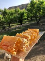 WHOLESALE RAW HONEYCOMB PURE AND CLEAN