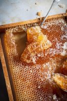 TOP SELLING RAW HONEYCOMB FROM VIETNAM