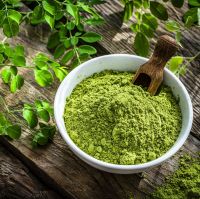 TOP QUALITY MORINGA POWDER FOR HEALTH