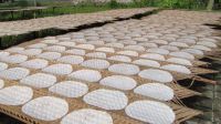 NATURAL RICE PAPER FOR SPRING ROLLS