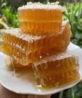 NATURAL RAW HONEYCOMB BEST PRICE EXPORT