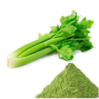 NATURAL CELERY POWDER RICH NUTRIENTS