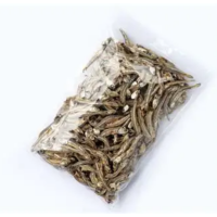WHOLESALE DRIED ANCHOVY CLEAN NATURAL PRODUCT