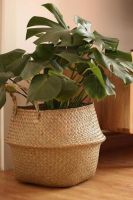NATURAL RATTAN PLANTER FOR HOME AND